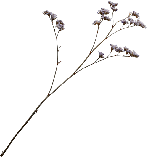 Creamz About page image