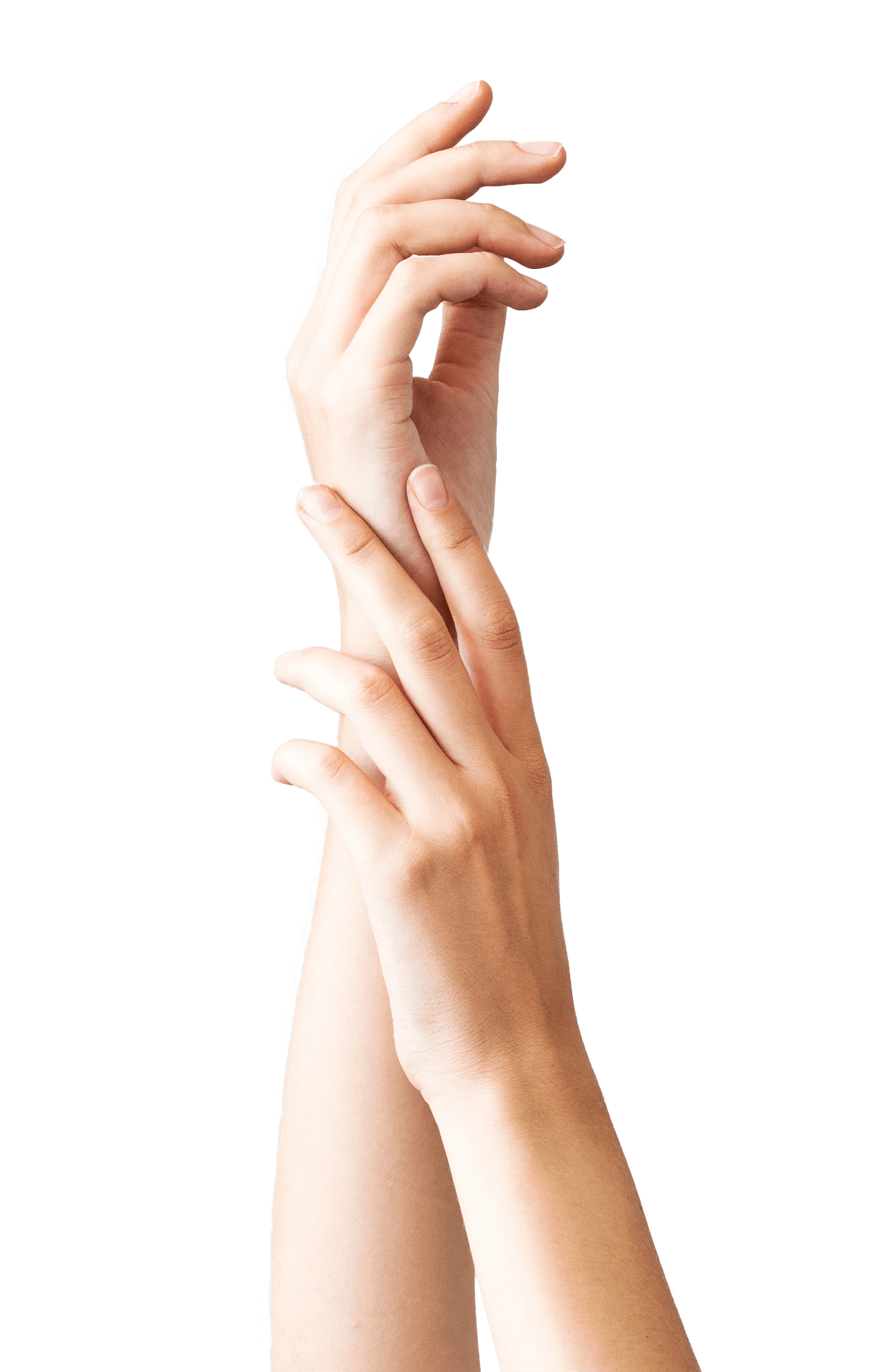 creamz red wine crockscrew